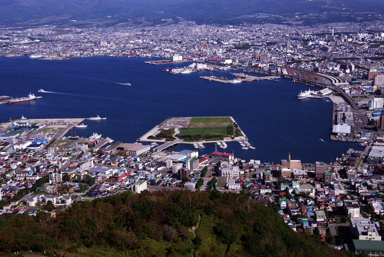 函館山から見た函館港(イメージ)